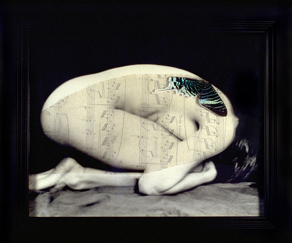 Cocoon